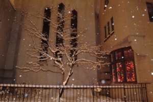 snow-window-garden-web